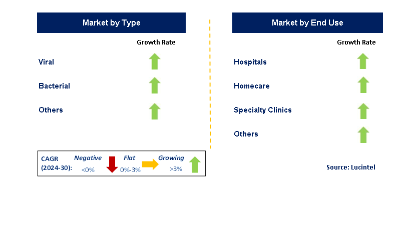 Inactivated Vaccine by Segment