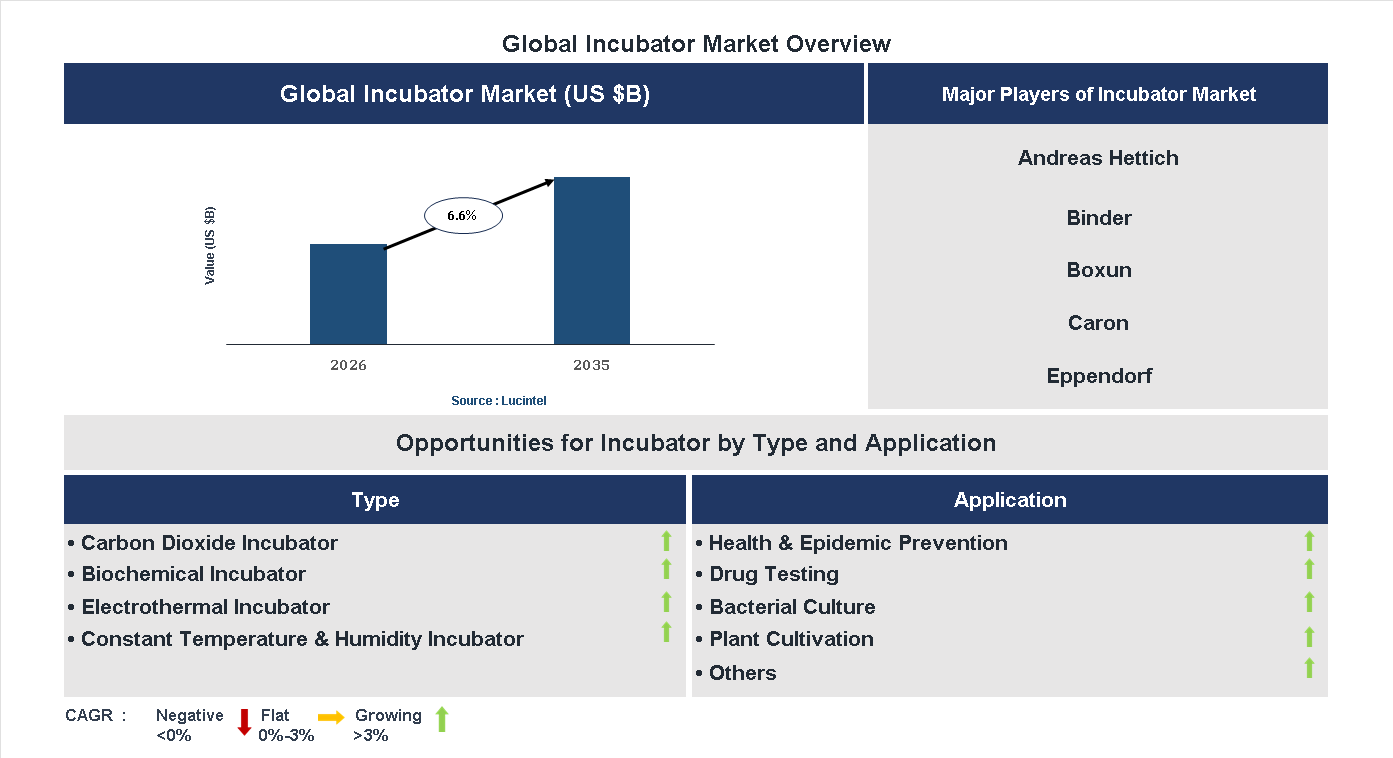 Incubator Market Trends and Forecast