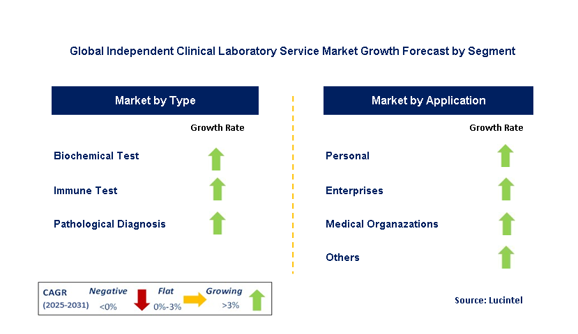 Independent Clinical Laboratory Service Market by Segment