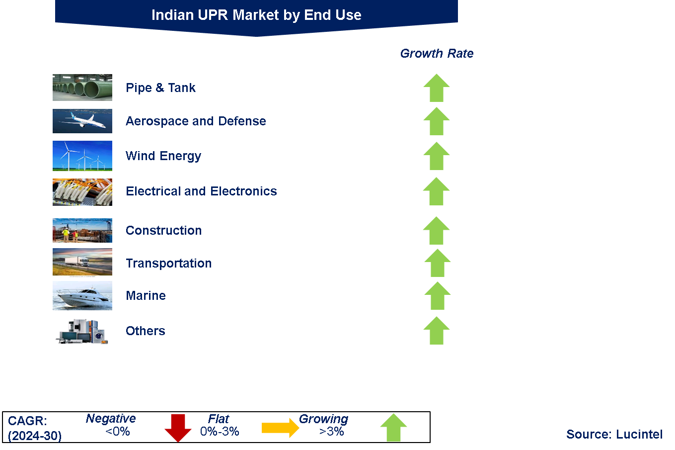 Indian UPR Market by Segments