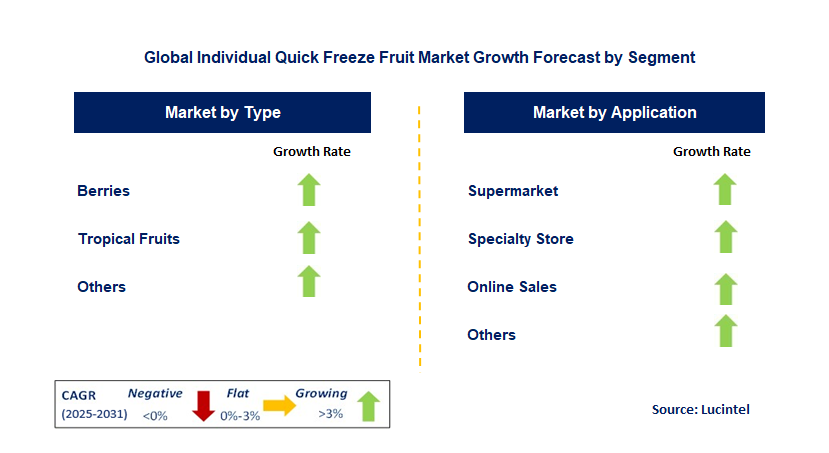 Individual Quick Freeze Fruit Market by Segment