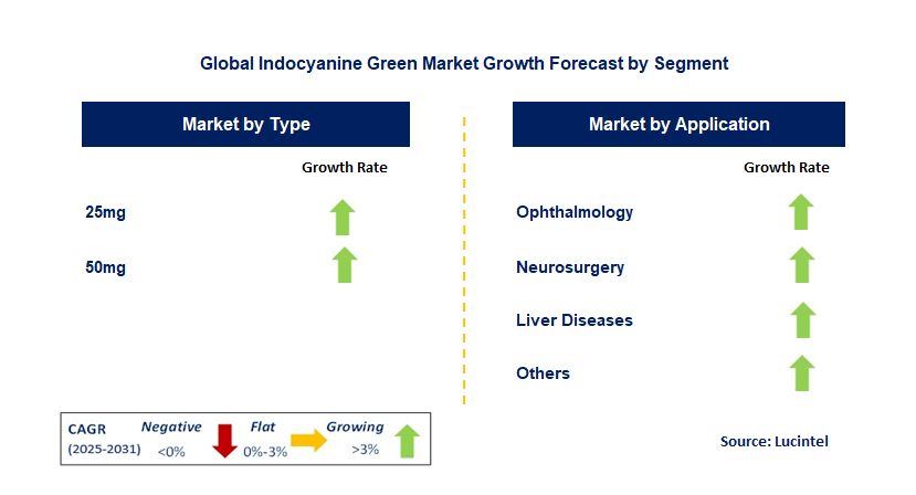 Indocyanine Green Market by Segment