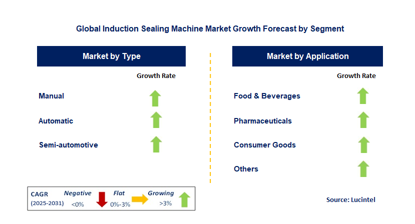 Induction Sealing Machine Market by Segment