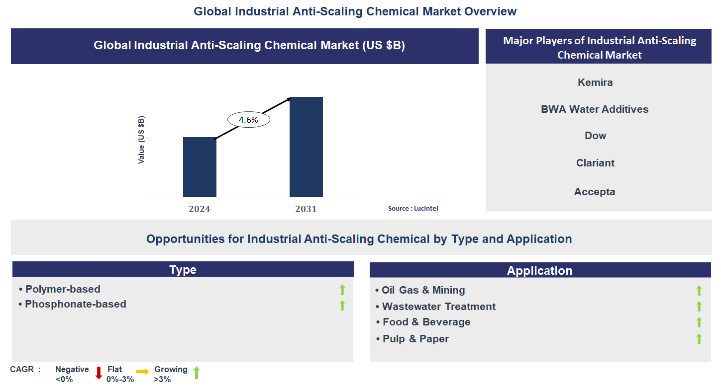 Industrial Anti-Scaling Chemical Market Trends and Forecast