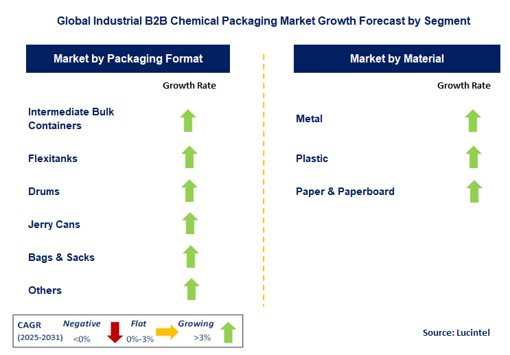 Industrial B2B Chemical Packaging Market by Segment