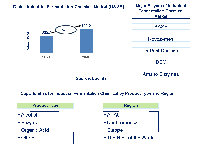 Industrial Fermentation Chemical Trends and Forecast