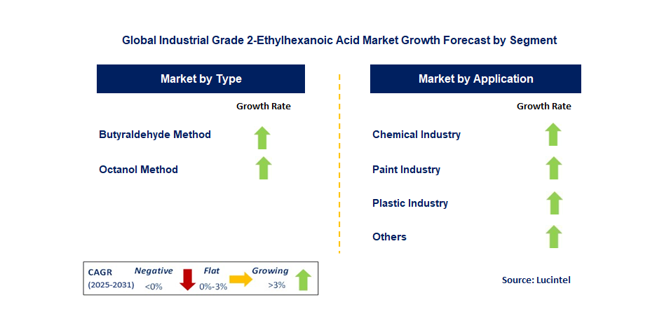 Industrial Grade 2-Ethylhexanoic Acid Market by Segment