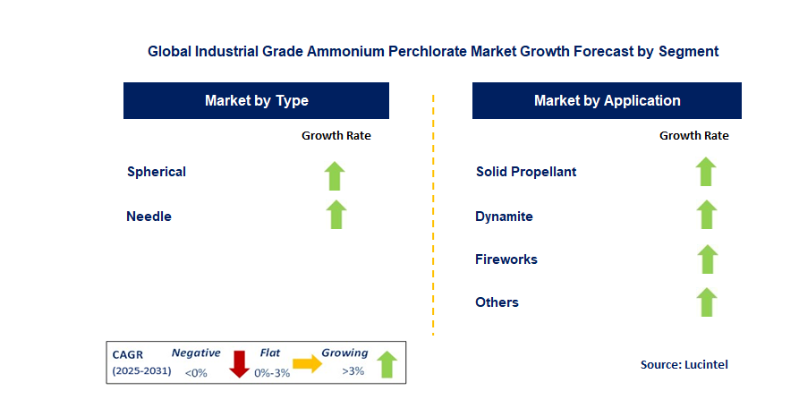 Industrial Grade Ammonium Perchlorate Market by Segment