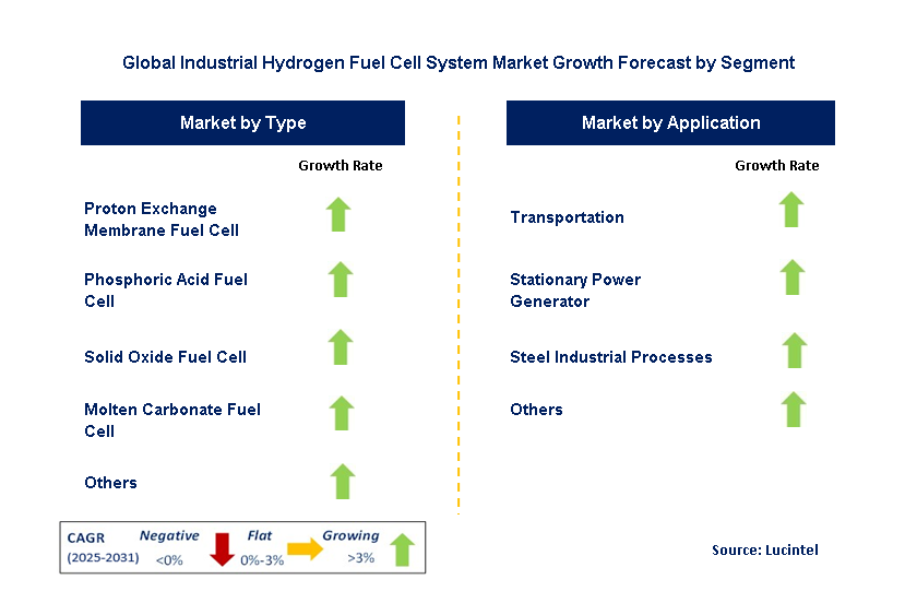 Industrial Hydrogen Fuel Cell System Market by Segment