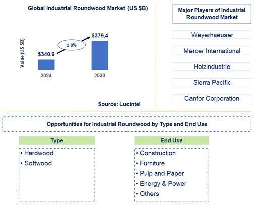 Industrial Roundwood Trends and Forecast