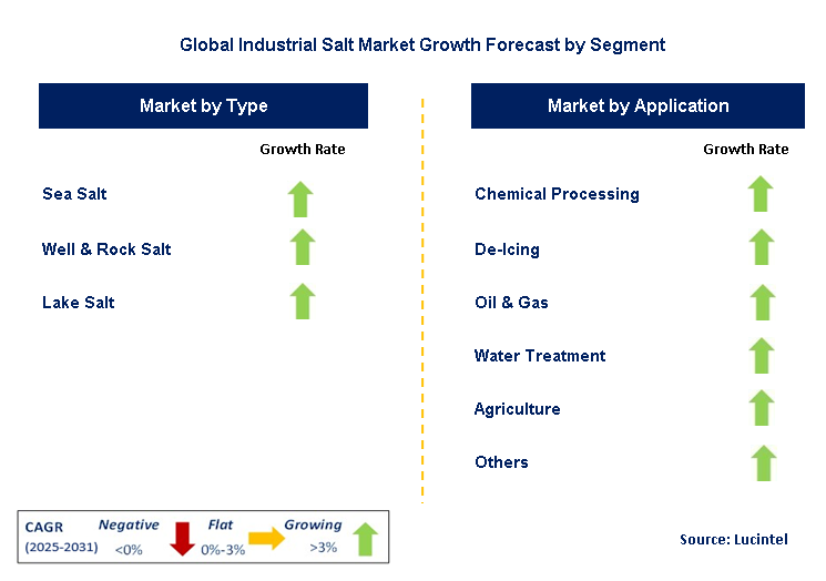 Industrial Salt Market by Segment