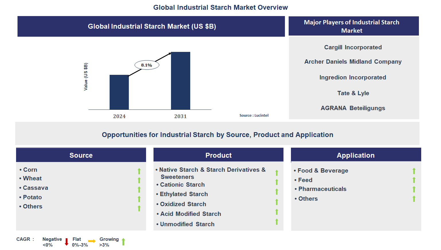 Industrial Starch Market Trends and Forecast