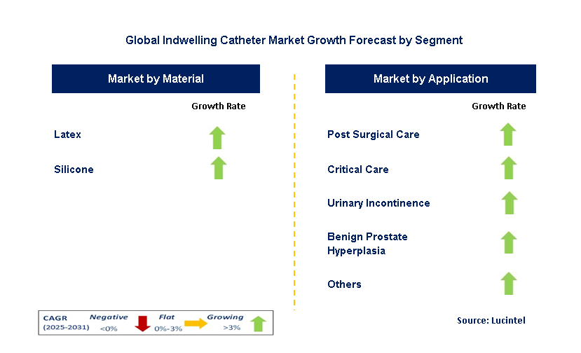 Indwelling Catheter Market by Segment