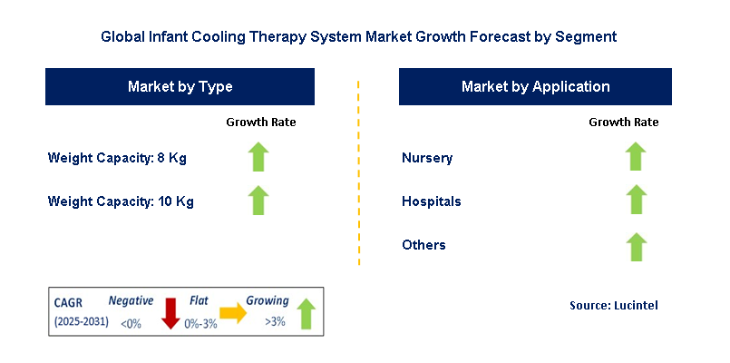 Infant Cooling Therapy System Market by Segment