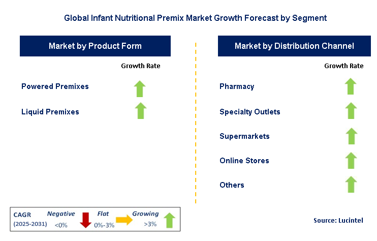 Infant Nutritional Premix Market by Segment