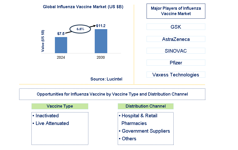 Influenza Vaccine Trends and Forecast