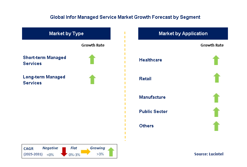 Infor Managed Service Market by Segment