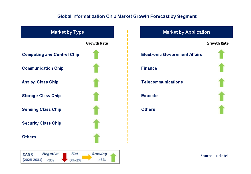 Informatization Chip Market by Segment