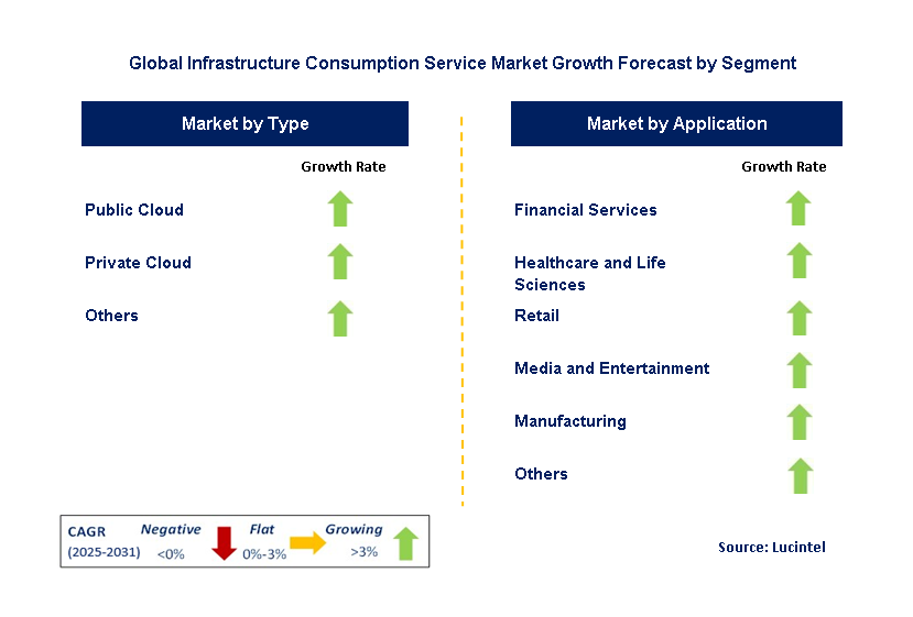 Infrastructure Consumption Service Market by Segment