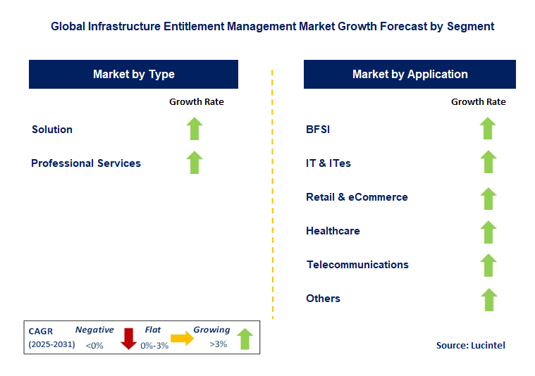 Infrastructure Entitlement Management Market by Segment