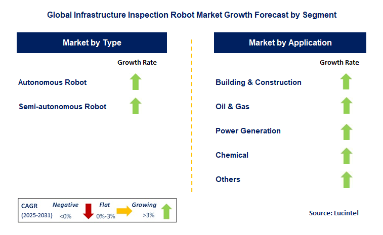 Infrastructure Inspection Robot Market by Segment