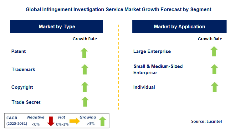 Infringement Investigation Service Market by Segment