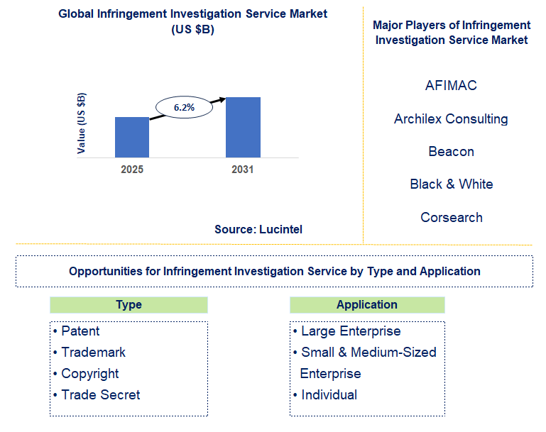 Infringement Investigation Service Market Trends and Forecast