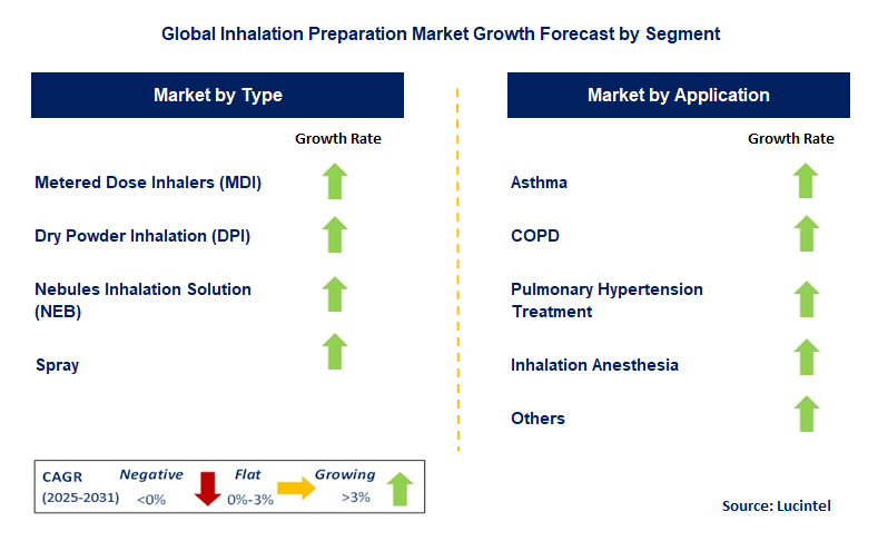 Inhalation Preparation Market by Segment