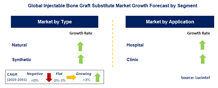 Injectable Bone Graft Substitute Market by Segment
