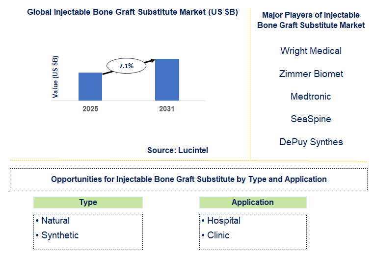 Injectable Bone Graft Substitute Market Trends and Forecast