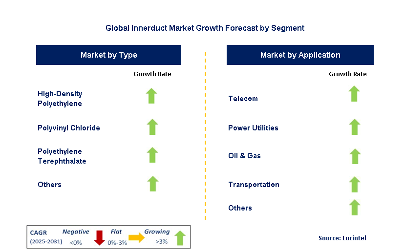 Innerduct Market by Segment