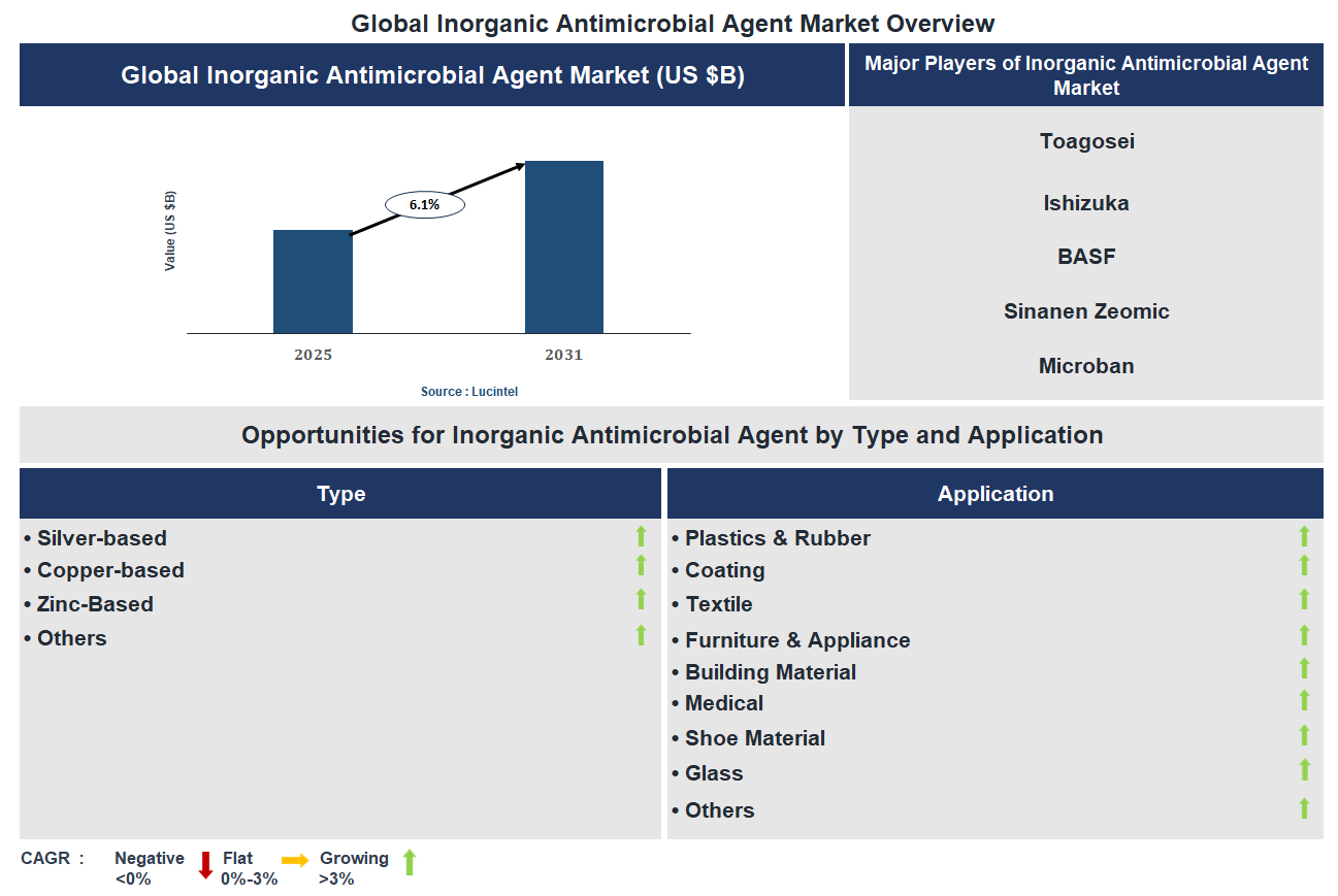 Inorganic Antimicrobial Agent Market Trends and Forecast