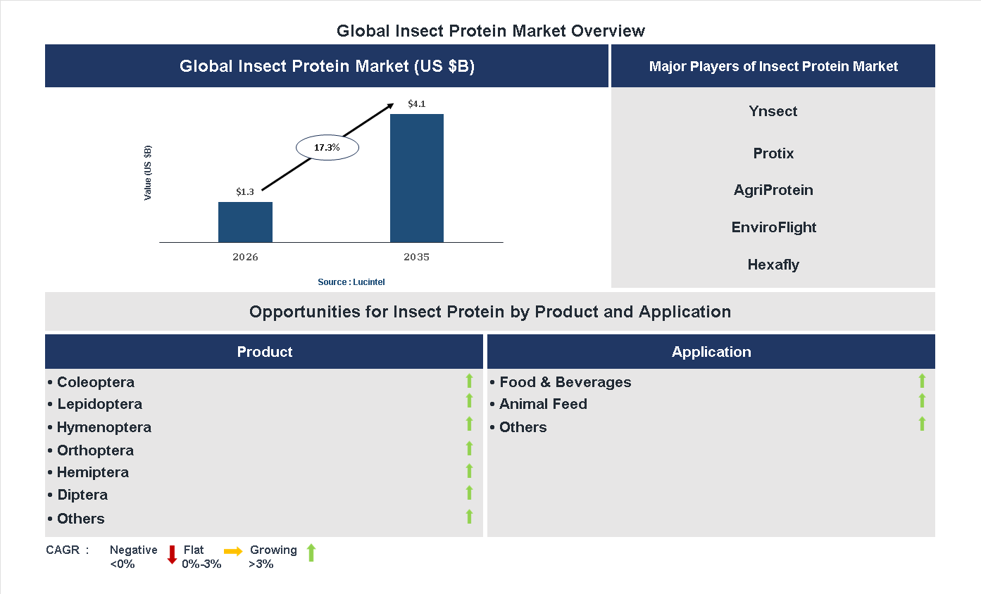 Insect Protein Market Trends and Forecast