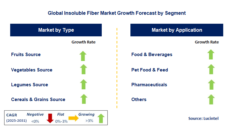 Insoluble Fiber Market by Segment