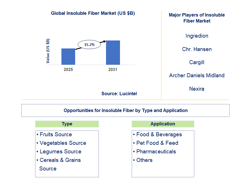 Insoluble Fiber Market Trends and Forecast