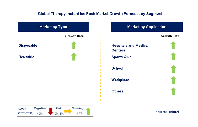 Instant Ice Pack Market by Segment