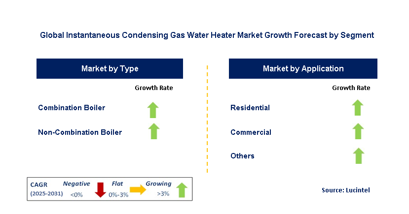Instantaneous Condensing Gas Water Heater Market by Segment