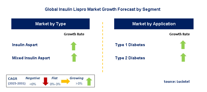 Insulin Lispro Market by Segment