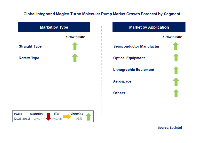 Integrated Maglev Turbo Molecular Pump Market by Segment
