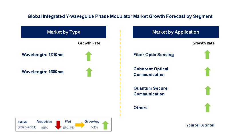 Integrated Y-waveguide Phase Modulator Market by Segment
