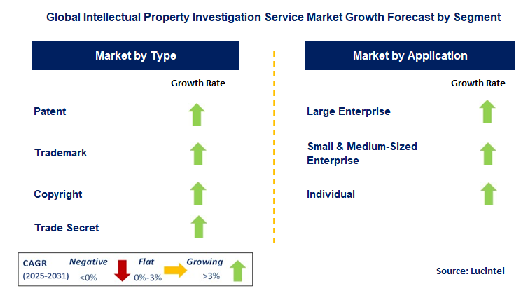 Intellectual Property Investigation Service Market by Segment