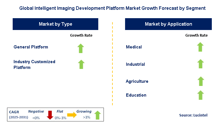 Intelligent Imaging Development Platform Market by Segment