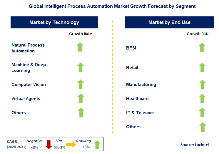 Intelligent Process Automation Market by Segment
