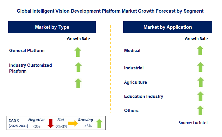 Intelligent Vision Development Platform Market by Segment