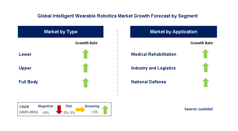 Intelligent Wearable Robotics Market by Segment