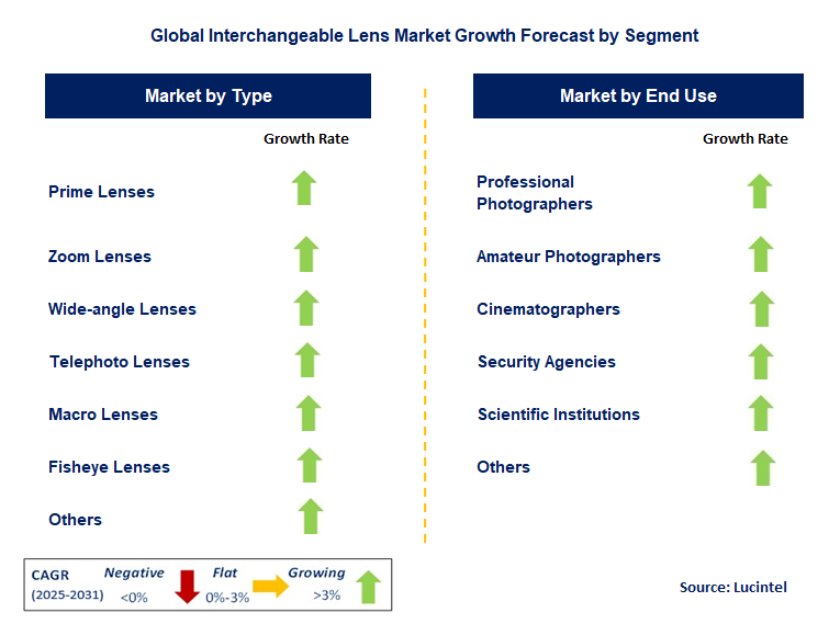 Interchangeable Lens Market by Segment