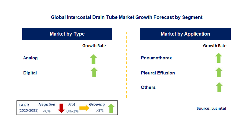 Intercostal Drain Tube Market by Segment