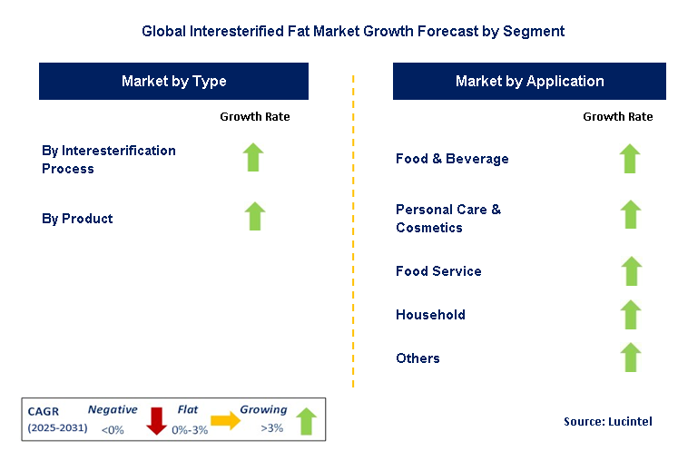 Interesterified Fat Market by Segment