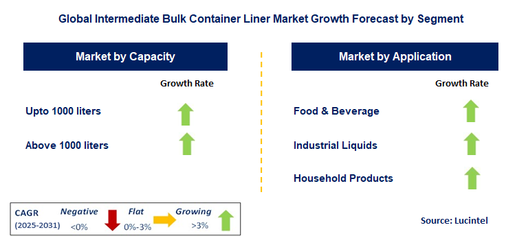 Intermediate Bulk Container Liner Market by Segment