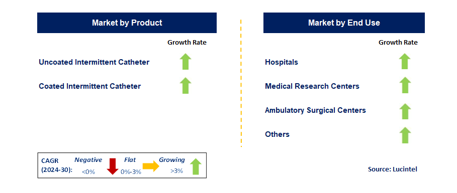 Intermittent Catheter by Segment